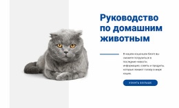 Путеводитель По Домашним Животным – Шаблон Веб-Страницы