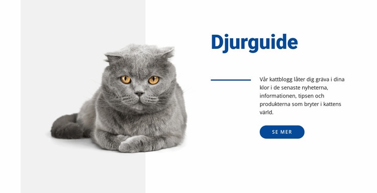 Husdjur guide CSS -mall