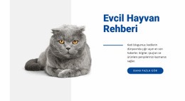 Evcil Hayvan Rehberi CSS Ile Temel Html Şablonu