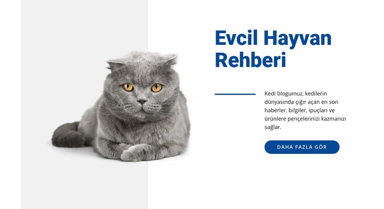 Evcil hayvan rehberi CSS Şablonu