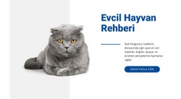 Evcil Hayvan Rehberi - HTML Generator Online