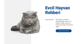 Evcil Hayvan Rehberi - Joomla E-Ticaret Şablonu