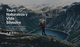 Excursiones De Vida Silvestre Y Viajes Por La Naturaleza. Diseño Web