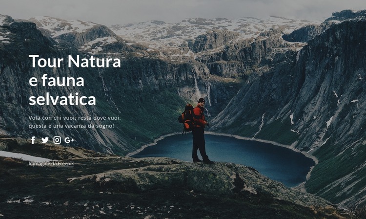 Tour della fauna selvatica e gite nella natura Modello Joomla