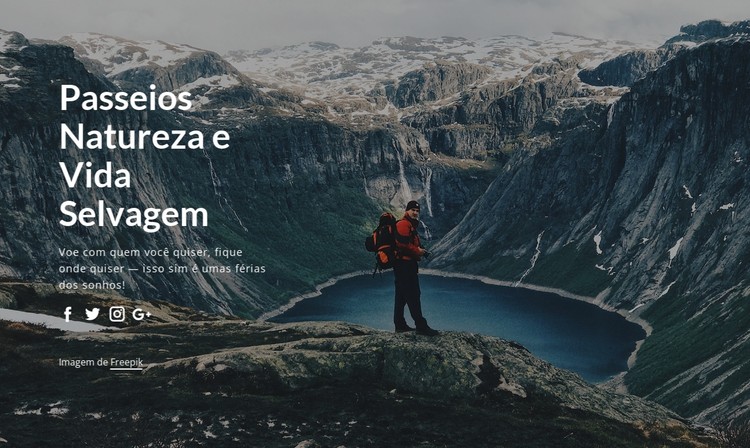 Passeios pela vida selvagem e passeios pela natureza Template CSS