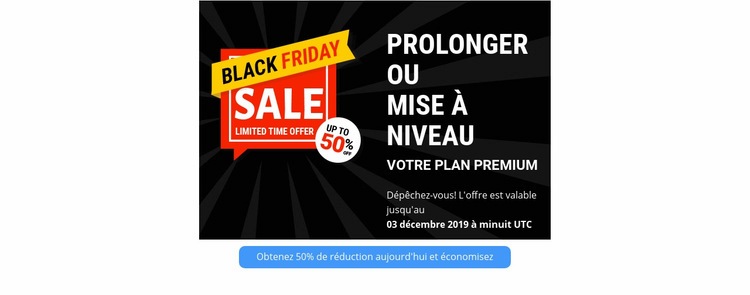 Offre d'une durée limitée Conception de site Web