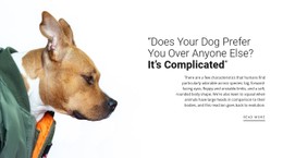 Your Faithful Friend