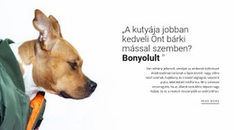 Hű Barátod – Prémium Sablon