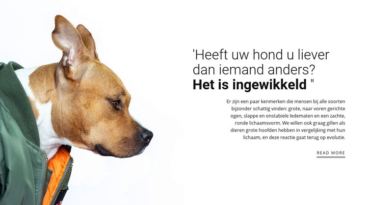 Uw trouwe vriend Website ontwerp