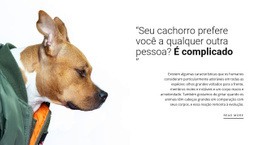 Seu Amigo Fiel Modelo HTML5