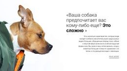 Ваш Верный Друг #Html-Templates-Ru-Seo-One-Item-Suffix