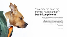 Din Trogna Vän - Premiummall