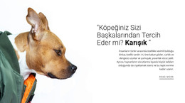 Sadık Arkadaşın Için Web Sayfası