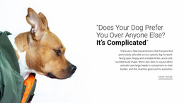 Your Faithful Friend - Website Mockup For Any Device