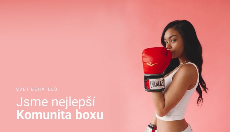 Komunita sportovního boxu Šablona