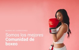 Comunidad De Boxeo Deportivo