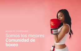 Demostración De Plantilla Para Comunidad De Boxeo Deportivo