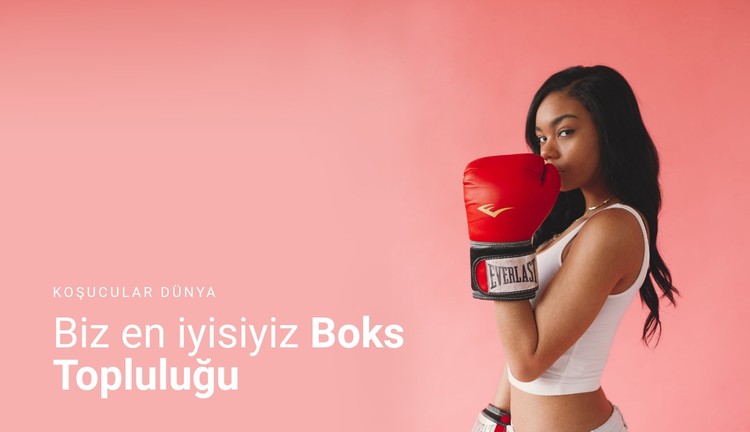 Spor boks topluluğu CSS Şablonu