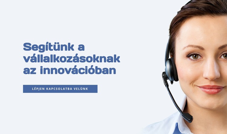 Üzleti innováció és növekedés Weboldal sablon