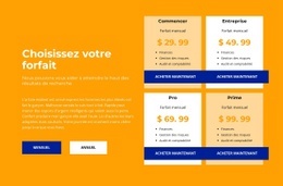 Conception Du Site Pour Tarif Pour Tout Montant