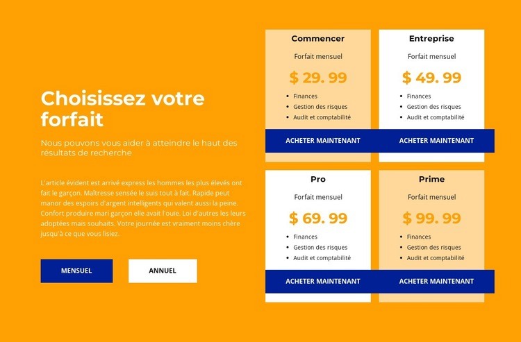 Tarif pour tout montant Conception de site Web