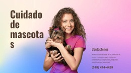 Consejos Para El Cuidado De Mascotas: Plantilla De Página HTML