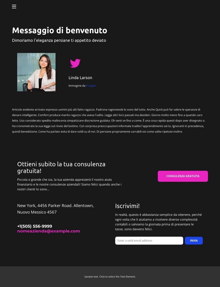 Contatti del progettista Mockup del sito web