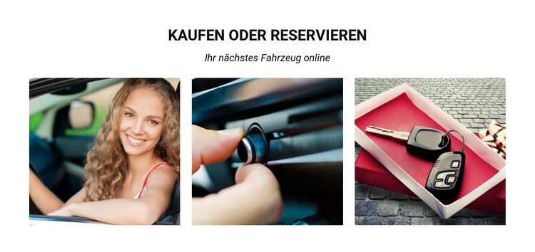 Ihr nächstes Fahrzeug online Website design