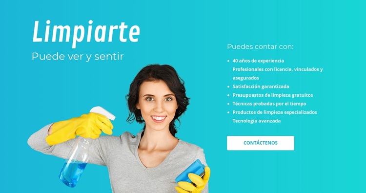 Servicios de limpieza del hogar Maqueta de sitio web