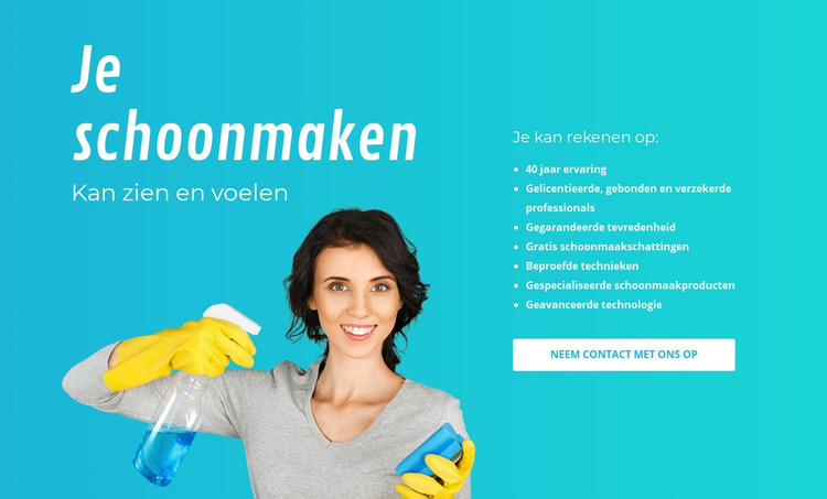 Huis schoonmaakdiensten HTML-sjabloon