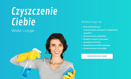 Usługi Sprzątania Domów - Niestandardowy Motyw WordPress
