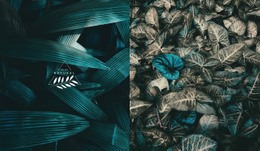 Rozdělit Se Zelenou Fotografií Přírody – Nejlepší Návrh Šablony Webu