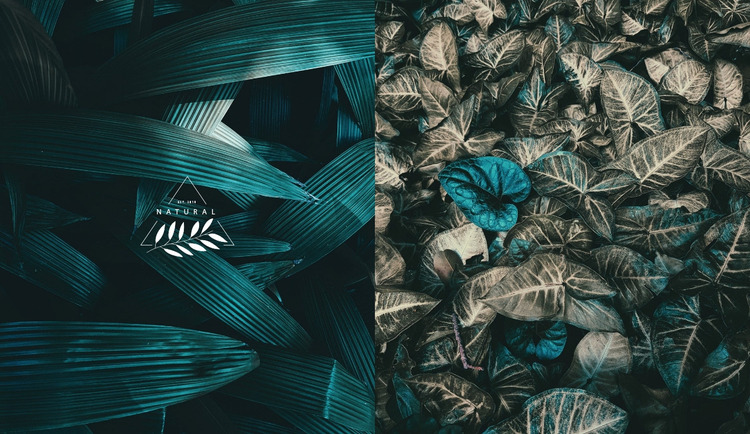 Splitsen met groene natuurfoto Joomla-sjabloon