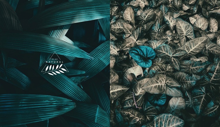 Сплит с зеленой природой фото CSS шаблон