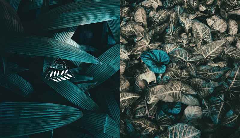 Split with green nature photo Squarespace Template Alternative