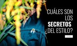 Ropa De Diseño: Sitio Web Adaptable