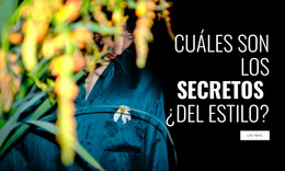 Ropa De Diseño - Descarga Gratuita De La Plantilla Joomla