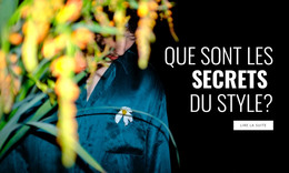 Designer De Vêtements - Site Web Réactif