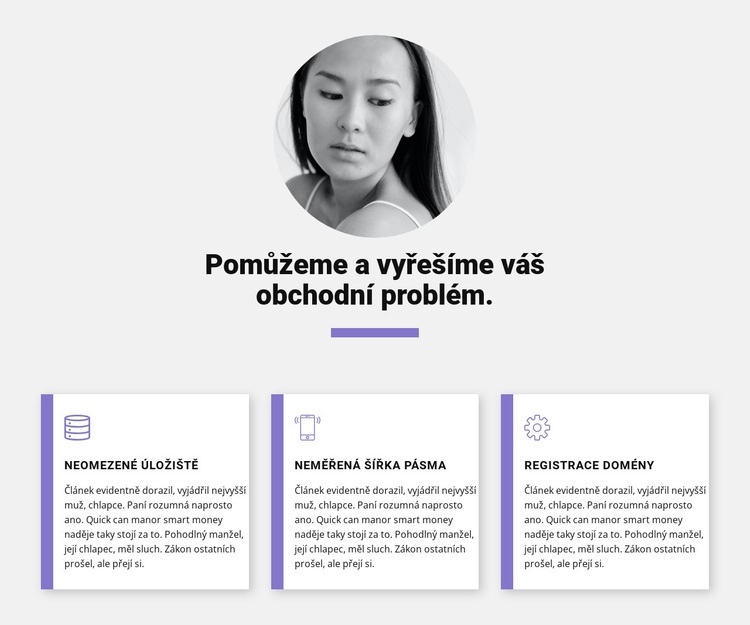 Rychlá obchodní řešení Šablona CSS