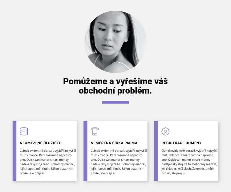 Rychlá obchodní řešení Téma WordPress