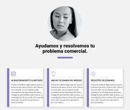 Diseño CSS Gratuito Para Soluciones Comerciales Rápidas