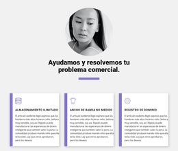 Soluciones Comerciales Rápidas - Inspiración Del Tema De WordPress