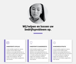 Snelle Zakelijke Oplossingen - WordPress-Thema-Inspiratie