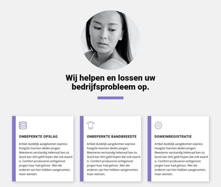 Snelle zakelijke oplossingen WordPress-thema