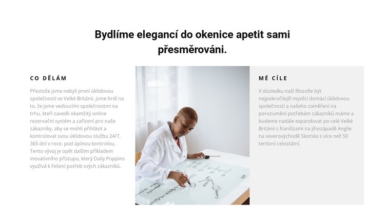 Stanovujeme cíle a řešíme Téma WordPress