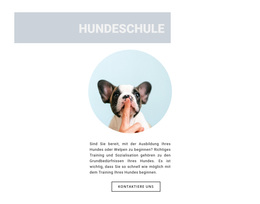 Bestes WordPress-Theme Für Gehorsamer Hund