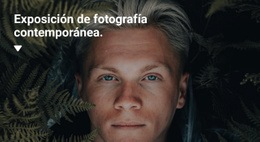 Exposición De Fotografías Exclusivas - Diseño De Sitios Web Gratuito