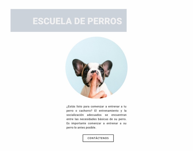 Perro obediente Plantilla HTML5