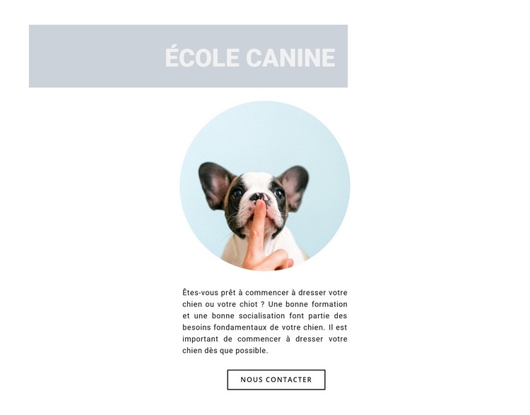 Chien obéissant Conception de site Web