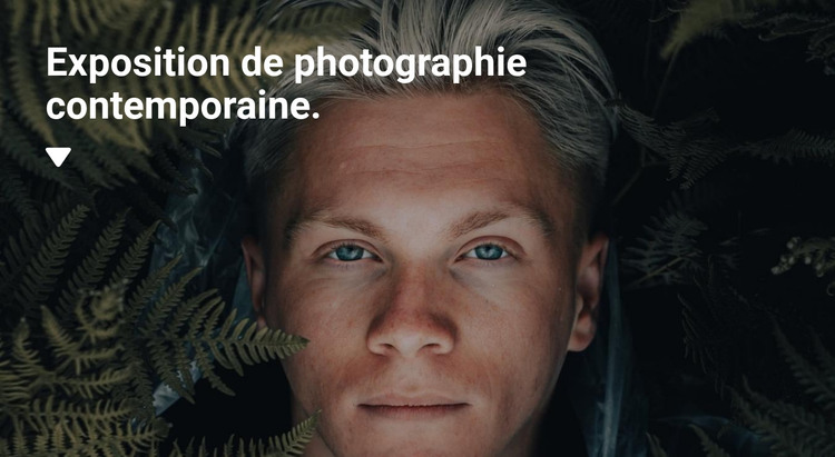 Exposition de photographies exclusives Modèle HTML